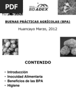 Buenas Practicas Agricolas