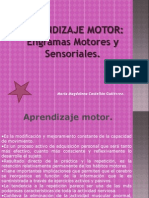 Engramas Motores