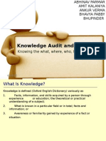 Knowledge Audit and Analysis