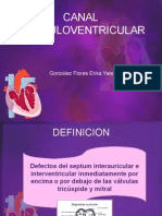 Canal Auriculoventricular