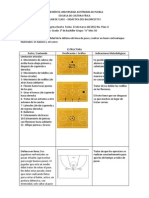 Plan de Clase de Baloncesto Numero 6