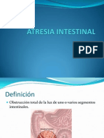 Atresia Intestinal