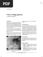 Cap31 Varices Esofago-Gastricas