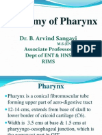 Anatomy & Physiology of Pharynx