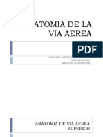 Anatomia de La Via Aerea