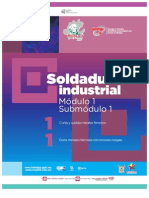 Guia Formativa. Soldadura Industrial 11. CECyTEH, Gobierno Hidalgo