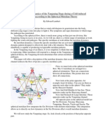 Yangming Meridian Dynamics