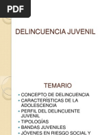 Delincuencia Juvenil