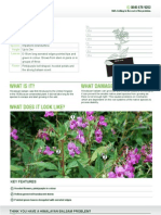 Himalayan Balsam Data Sheet