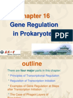 TRP Operon