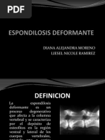 Presentacion Espondilosis Deformante