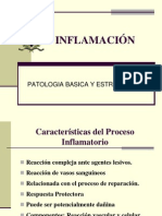 Seminario de Inflamación