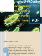 Anatomia de Los Protozoarios