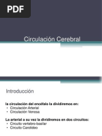 Circulacion Cerebral