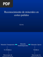 Reconocimiento de Minerales en Cortes Pulidos