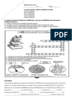 Avaliação de Ciencias 801