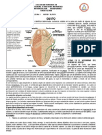 Taller No. 4-Gusto y Olfato-Definitivo