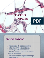 Tecido Adiposo