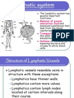 1.4 The Lymphatic System