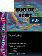 Nucleicacids2eee2 120426222747 Phpapp01