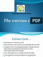 The Estrous Cycle