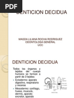 Tipos de Denticion