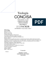 Teologia Concisa - J.packer