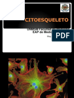 Citoesqueleto