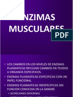 Enzimas Musculares