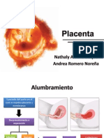 Placenta