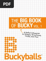 Big Book Bucky