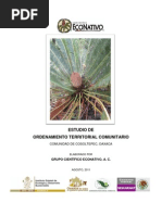 Estudio OTC Cosoltepec 2011