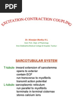 Excitation Contraction Coupling