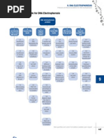 9 DNA Troubleshooting