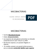 Mycobacterium