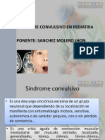 Exposicion Sindrome Convulsivo