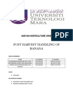 Horticulture-Post Harvest Banana