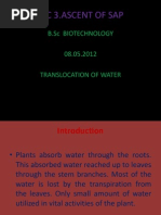 Lec 3.ascent of Sap