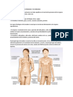 Caracteristicas Sexuales Primarias y Sec Und Arias