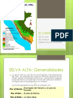 Selva Alta, Baja, La Sabana de Las Palmeras ECORREGIONES