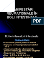 Manifestări Reumatismale În Alte Boli Final