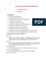 Examen Parasitologico en Diferentes Muestras