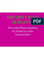 The Life Cycle of Plants: Flowering Plants Reproduce by Producing Seeds (Reproduction)