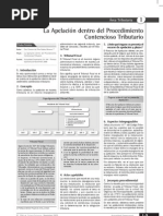 20100913-La Apelacion Dentro Del Procedimiento Contencioso Rio