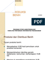 Produksi Benih