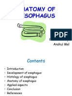 Anatomy of Oesophagus