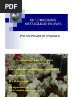 Enfermedades Metabolic As en Aves