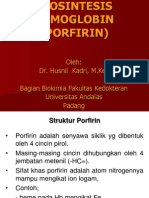 Biosintesis Hemoglobin