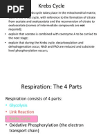 A2 4 1 1 Krebs Cycle