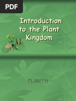 Introduction To Plants